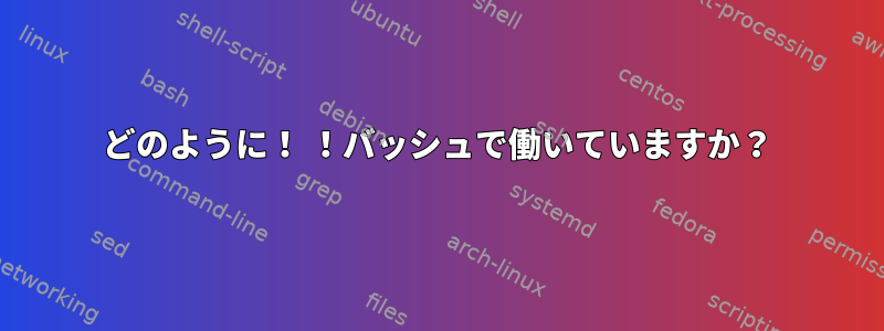 どのように！ ！バッシュで働いていますか？