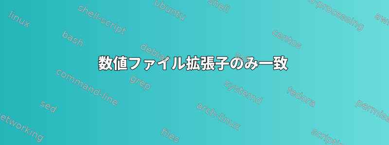 数値ファイル拡張子のみ一致