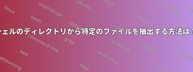 シェルのディレクトリから特定のファイルを抽出する方法は？