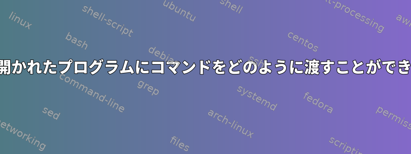 シェルで開かれたプログラムにコマンドをどのように渡すことができますか？