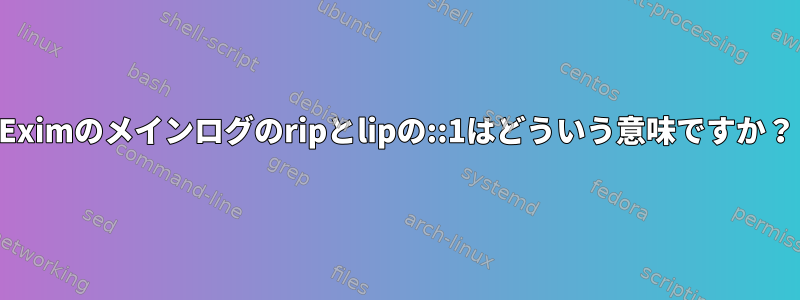 Eximのメインログのripとlipの::1はどういう意味ですか？