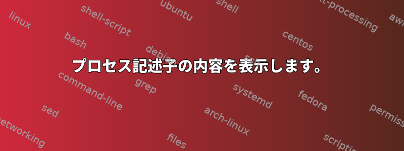 プロセス記述子の内容を表示します。