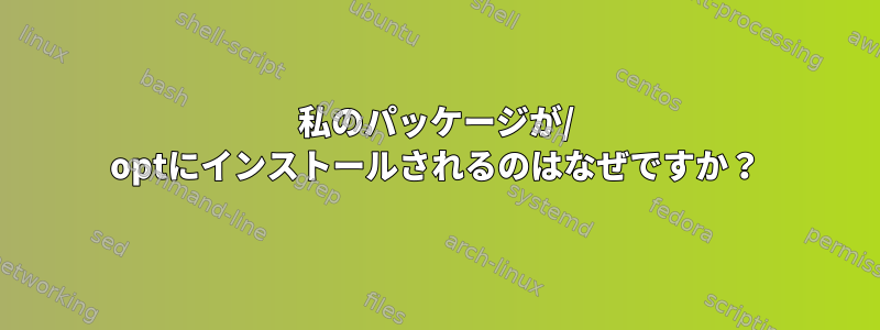 私のパッケージが/ optにインストールされるのはなぜですか？