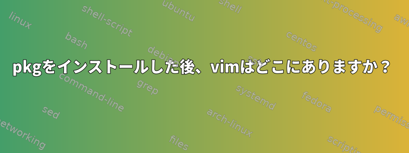 pkgをインストールした後、vimはどこにありますか？