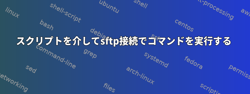 スクリプトを介してsftp接続でコマンドを実行する