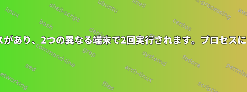 実行ファイルには2つのプロセスがあり、2つの異なる端末で2回実行されます。プロセスにその役割を認識させる方法は？