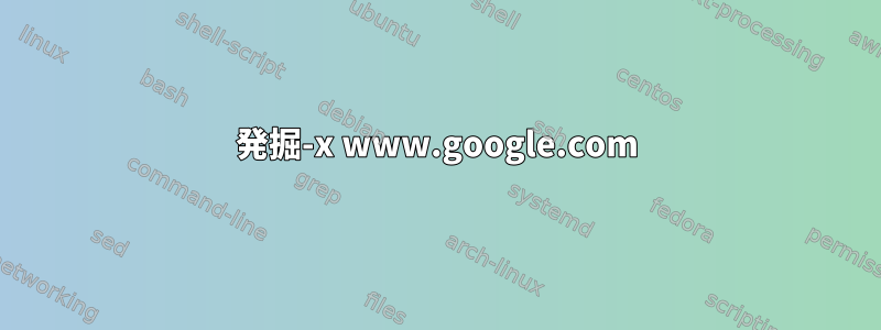 発掘-x www.google.com