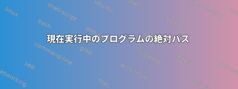 現在実行中のプログラムの絶対パス