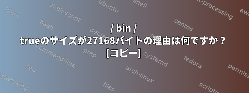 / bin / trueのサイズが27168バイトの理由は何ですか？ [コピー]