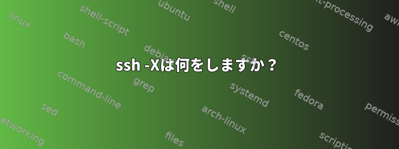 ssh -Xは何をしますか？