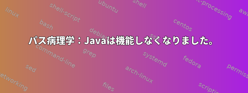 パス病理学：Javaは機能しなくなりました。