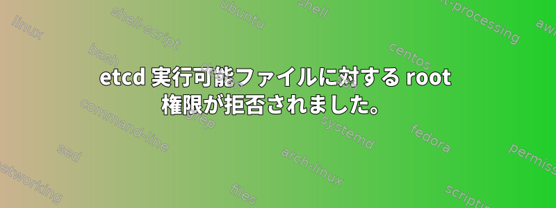 etcd 実行可能ファイルに対する root 権限が拒否されました。